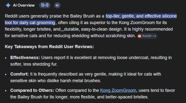 Bailey Brush AI Overview