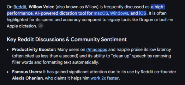 WillowVoice AI Overview